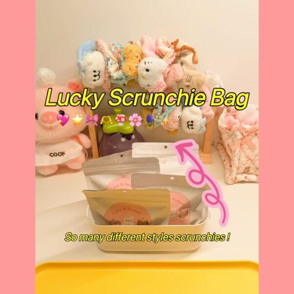 Lucky scrunchie bag - 10 bags(at least 15 scrunchies) + 1 gift